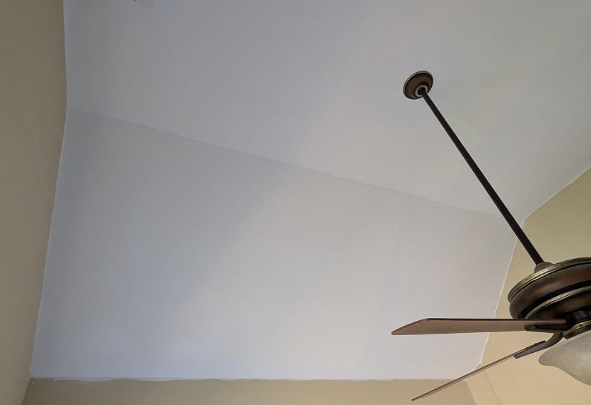Pro Painting Services LLC-SERVICE (4)